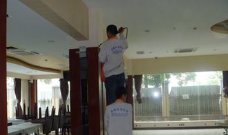 上海家庭蟲害防治與保潔服務(wù) 一站式解決蟲害與清潔煩惱